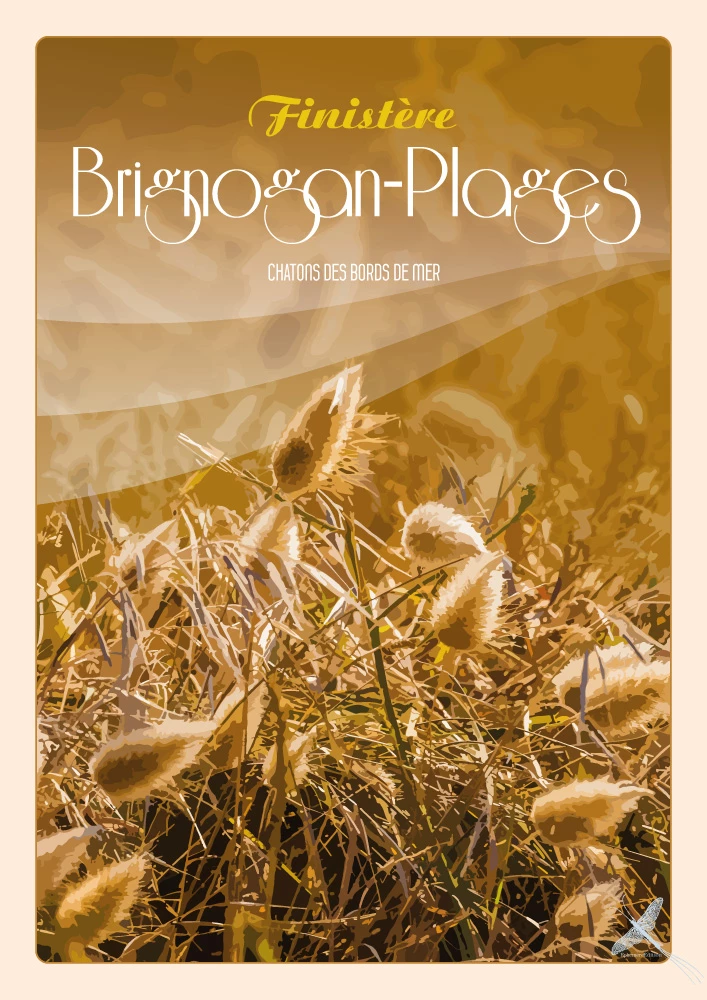 Affiche vintage - Brignogan-Plages